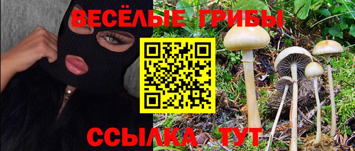Домодедово  Галлюциногенные грибы мухоморы  цены   Вход с VPN 