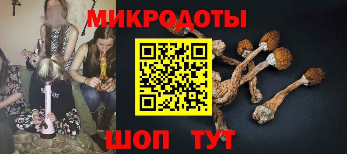 Псилоцибиновые грибы прущие грибы Домодедово